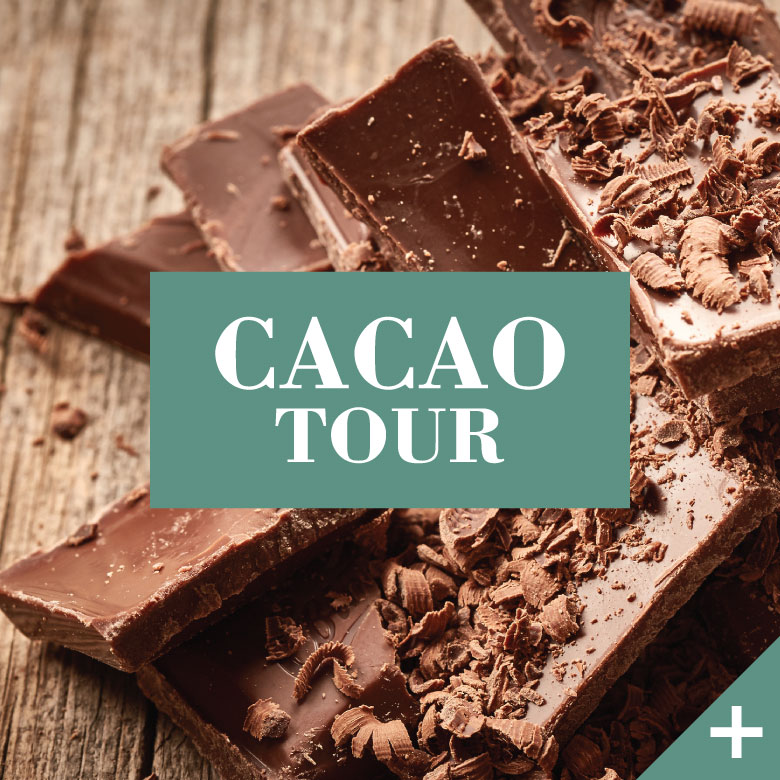 Cacao Tour Tastefully Nicaragua